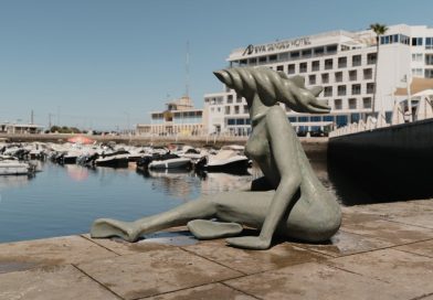 ‘Ninfa’ regressa ao seu local de origem após tentativa de furto