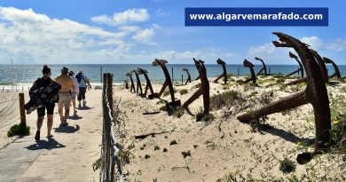 O tempo e a temperatura da água do mar no Algarve esta quarta-feira (5 de agosto)
