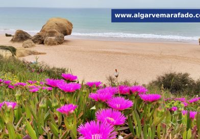 Foto do dia:  rocha e naufrágio – a lenda de uma conhecida praia do Algarve