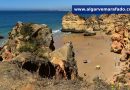 O tempo e a temperatura do mar no Algarve esta terça-feira, 14 de julho