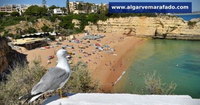 O tempo e a temperatura da água do mar no Algarve este domingo (19 de julho)