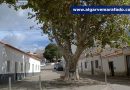 Um dia em cheio: desfolhada, música e produtos e sabores típicos da Serra de Monchique