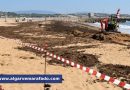 Lagos avança com concurso de 200 mil euros para retirar algas das praias