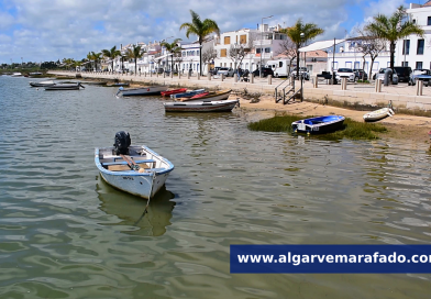 Foto do dia: esta terra algarvia tem nome de santa protetora da visão e só tem olhos para o polvo