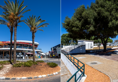 Albufeira mais verde e com menos gasto de água: 13 espaços requalificados