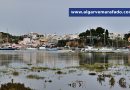 Foto do dia: uma terra algarvia de pescadores, turistas e… pragas