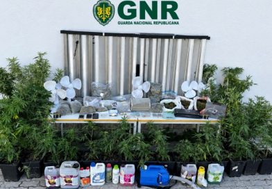 GNR deteta estrutura para cultivo de canábis e apreende milhares de doses de droga. Três detidos