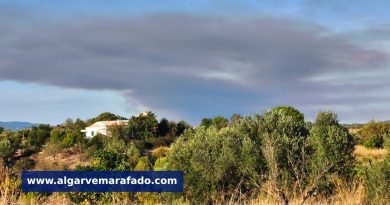 As fotos dos incêndios… a muitas dezenas de quilómetros de distância (em atualização) As fotos dos incêndios… a muitas dezenas de quilómetros de distância (em atualização)
