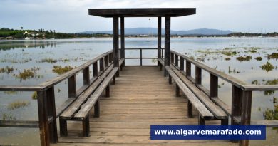 O passadiço do Algarve onde caminhamos sobre a água (com VÍDEO)