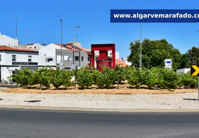 Foto do dia: esta cidade algarvia tem uma rotunda que dá uvas